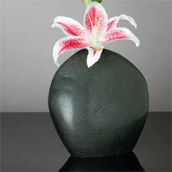 Black Vase (Product 4830)